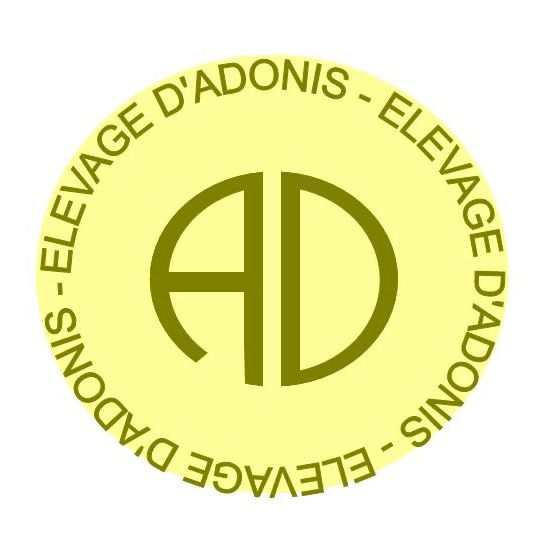 Logo AD 14082012.jpg