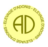 Logo AD 14082012.jpg