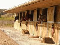 Ecuries haut 28