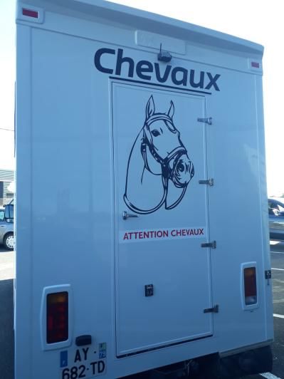 camion 4.jpg